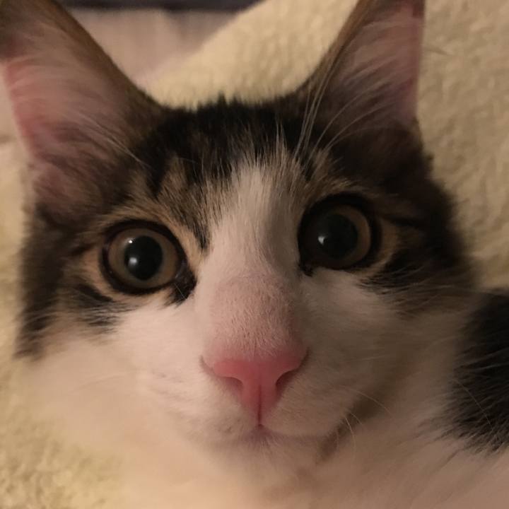 Ca9cc157 622c 40ab 8847 6ac88bb8ea6e