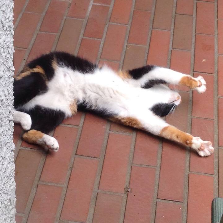 Ca9cedc5 8693 44f3 98a1 d5e087261a93