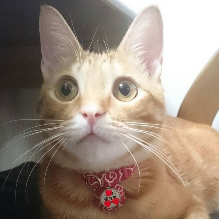 Ca9d0bab 8186 459e 8452 e4b2b6e2551b