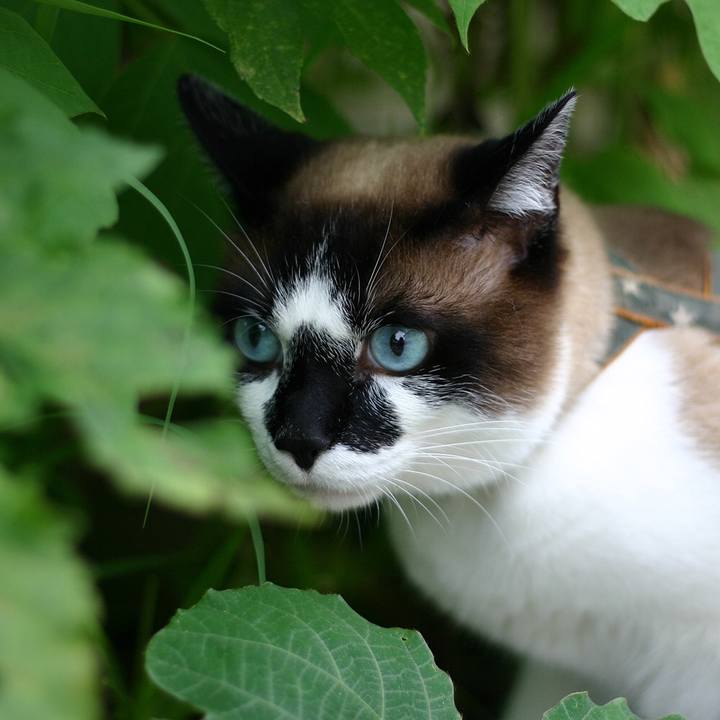 Ca9d78f4 761a 4ef2 ac8d 339bebcbeb4b