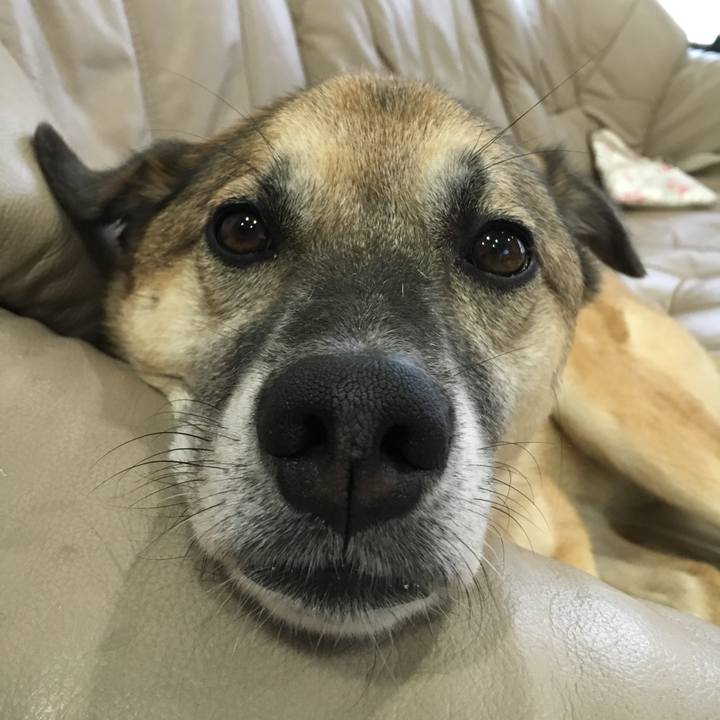 Ca9d7e6d c4ca 4690 8ec7 0f6461bbef90