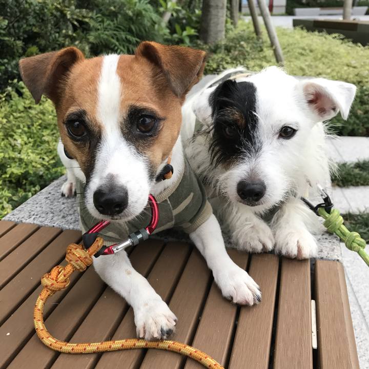 Ca9d94e5 1549 4246 859e 2d5da41b501c