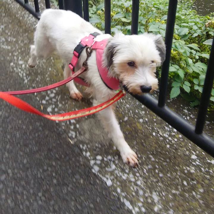 Ca9d9512 1113 4cab 9082 d095233774e3