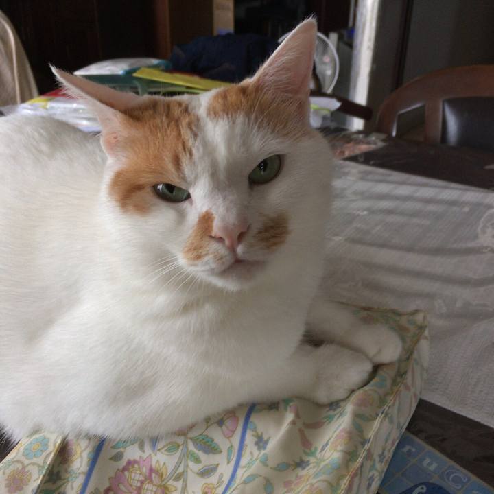 Ca9dd462 6284 4ca5 bde7 c22645e06176