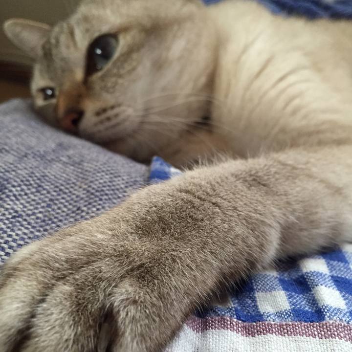 Ca9e2c8b 64b3 48b2 bf57 de00723e555e