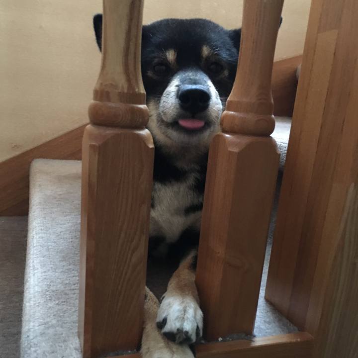 Ca9eaebc c6a0 4e3c b763 032a99871ec3