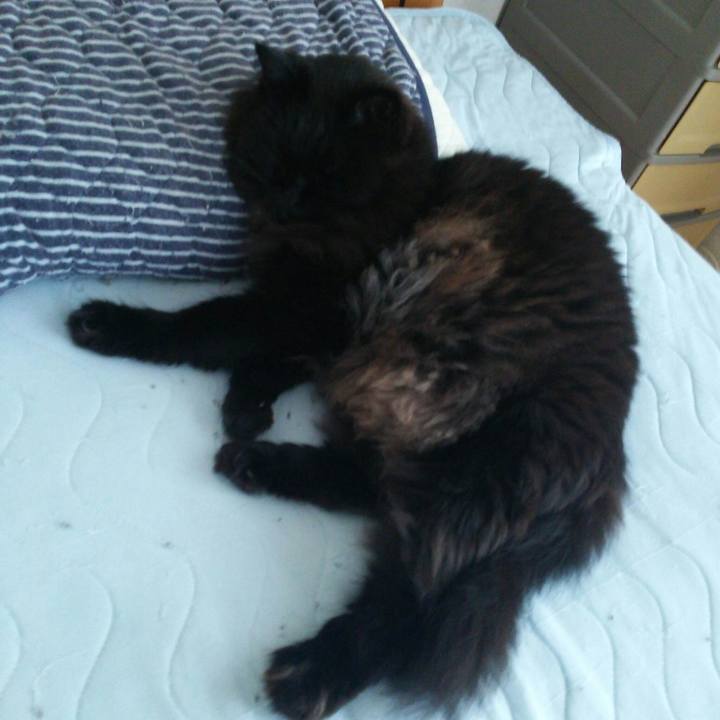 Ca9eed54 d00c 4d86 b562 163adbef5f89