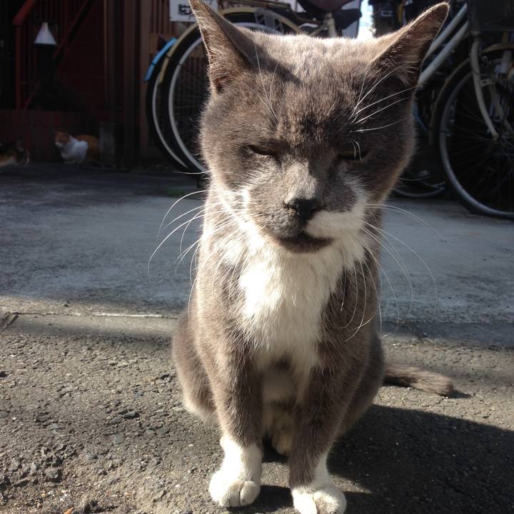 Ca9ef857 4d07 45d5 bf01 d56b0f2e8dd7