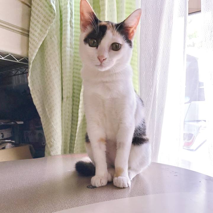 Ca9f47ea f1d3 49dd b307 b1096f293ce7