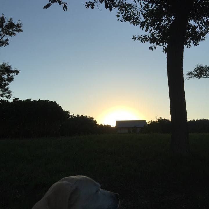 Caa1762f c916 4226 9e24 9d765c6176d2