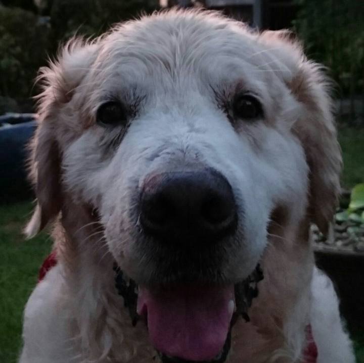 Caa17c9b 469c 4442 baed cb4899d5ebff