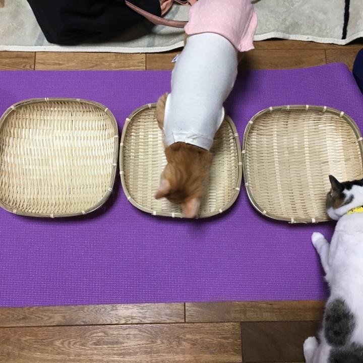 Caa21cbc aaec 4265 8bf7 c9633a19a32c