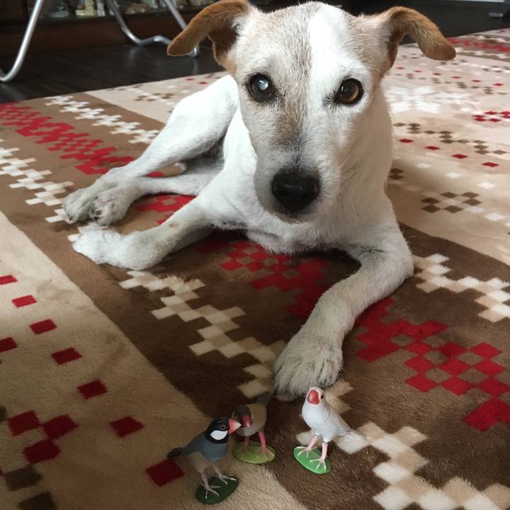 Caa2ac3a 5457 457a 916e e78d42f75c26