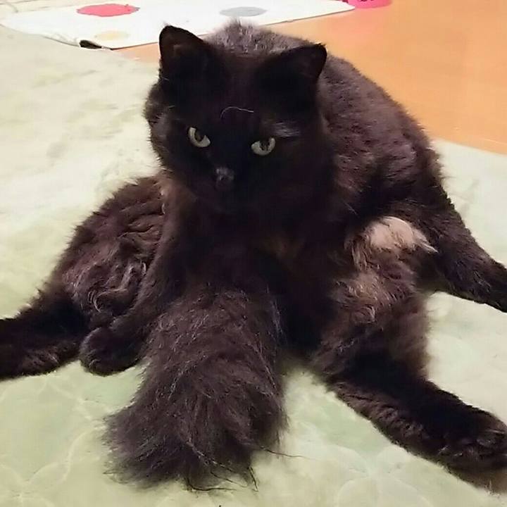 Caa2c287 93f3 4ecd ba98 26ccd43a3001