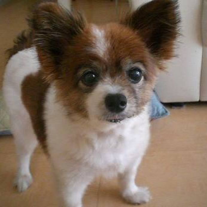 Caa2d552 9f2f 4758 ac59 d18576012be1