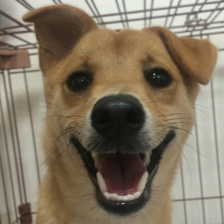 Caa31d9d fde5 4c35 ba10 b666c3253a16