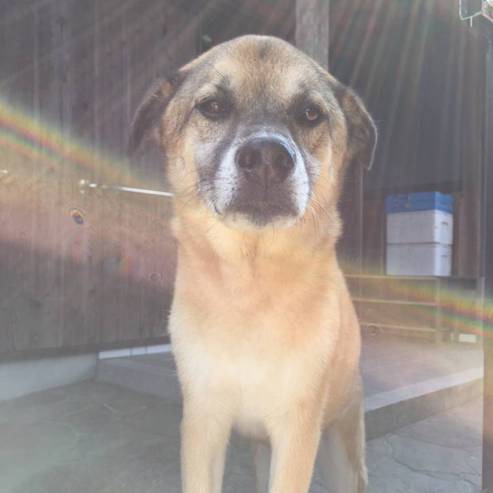 Caa34465 4aef 4106 98cd 8073708842e5