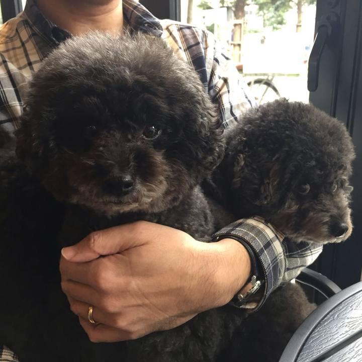 Caa38104 5a46 4a3e 8a72 4cfb5a9645e5