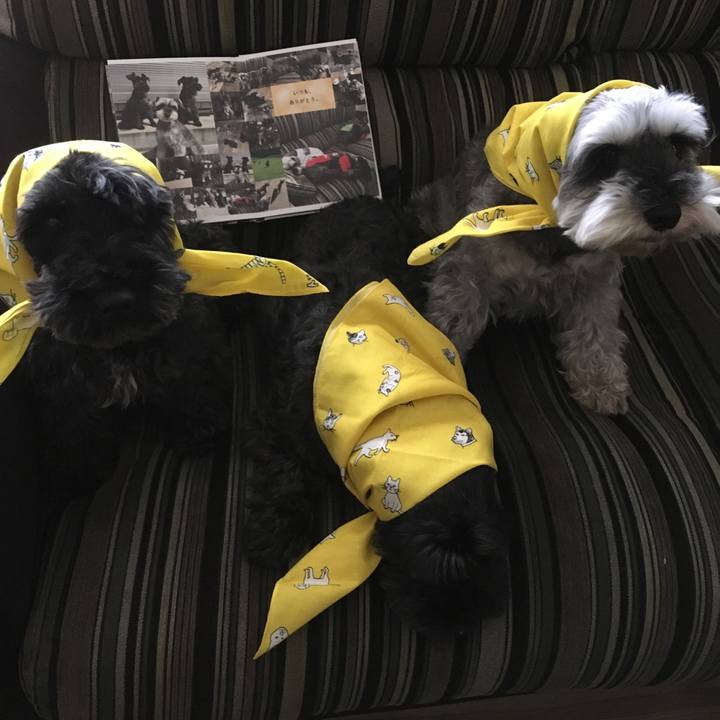 Caa42c28 3e73 479c af2f 7c6d80a9b2b3