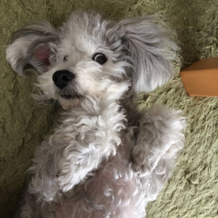 Caa48563 8745 4c3f bccb 7949f1bc530d