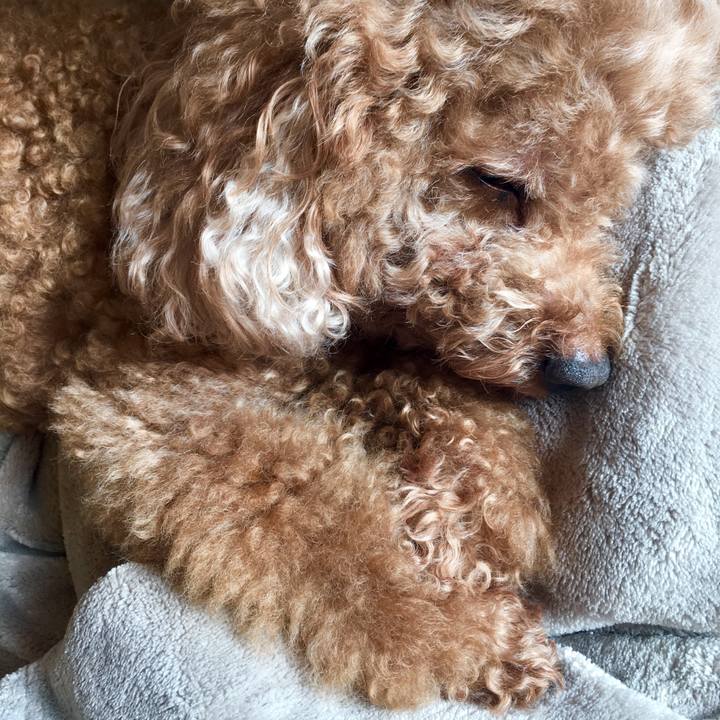 Caa4d929 9034 477f 9727 a702948efbc3