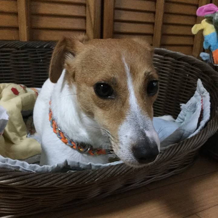 Caa5dfe6 02ce 4850 938e a16ca01cacf5