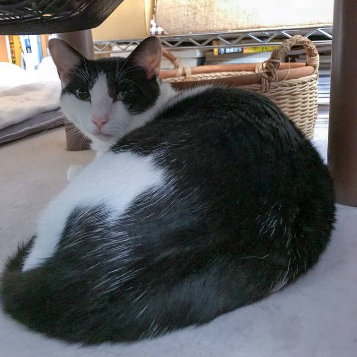 Caa67bd3 348d 4f6e aa4a 541415827779