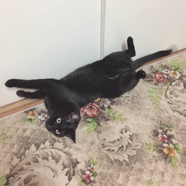 Caa6b9ee bb33 450b a686 544a1310a6c7