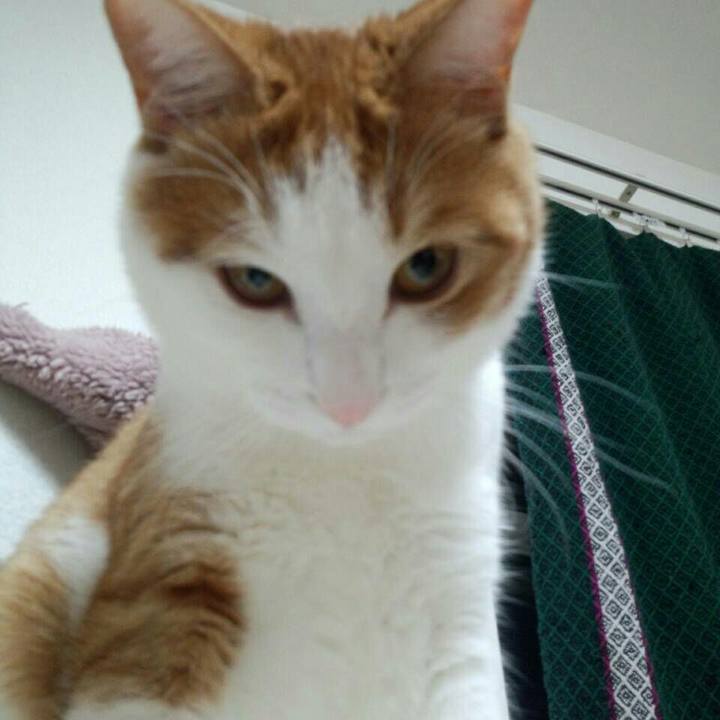 Caa6d485 a8ea 4fea 9dbb 94fbc9f272d9