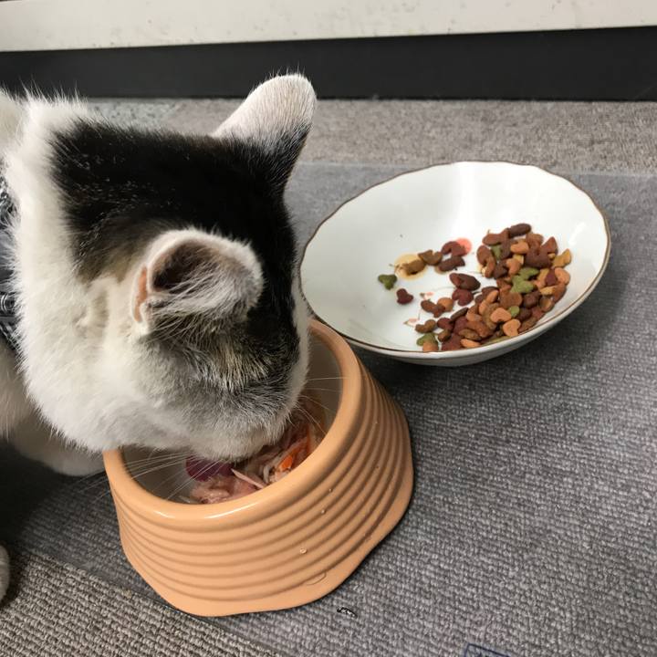 Caa7f6f0 6910 48d3 8533 51e6d3c70ae7