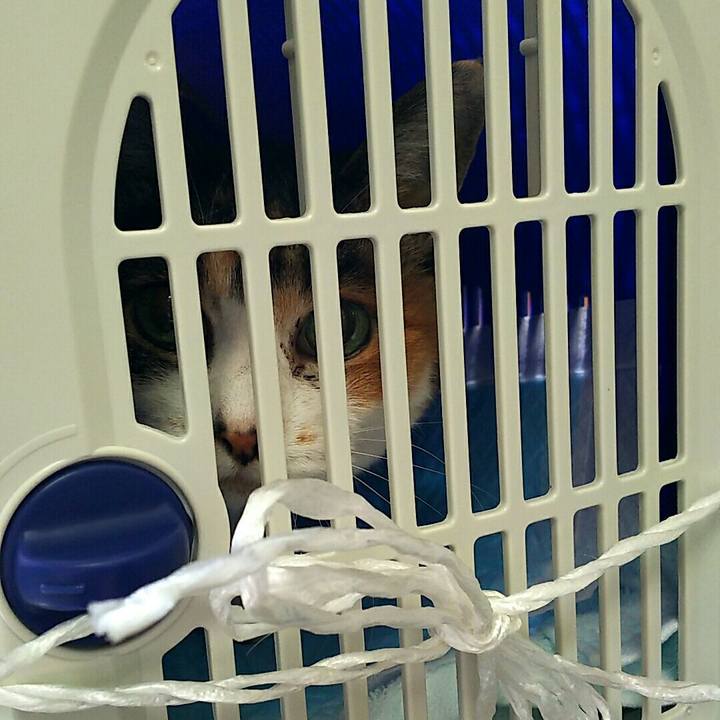 Caa89f0d 2723 486e a39f 3ea9f6ac6956