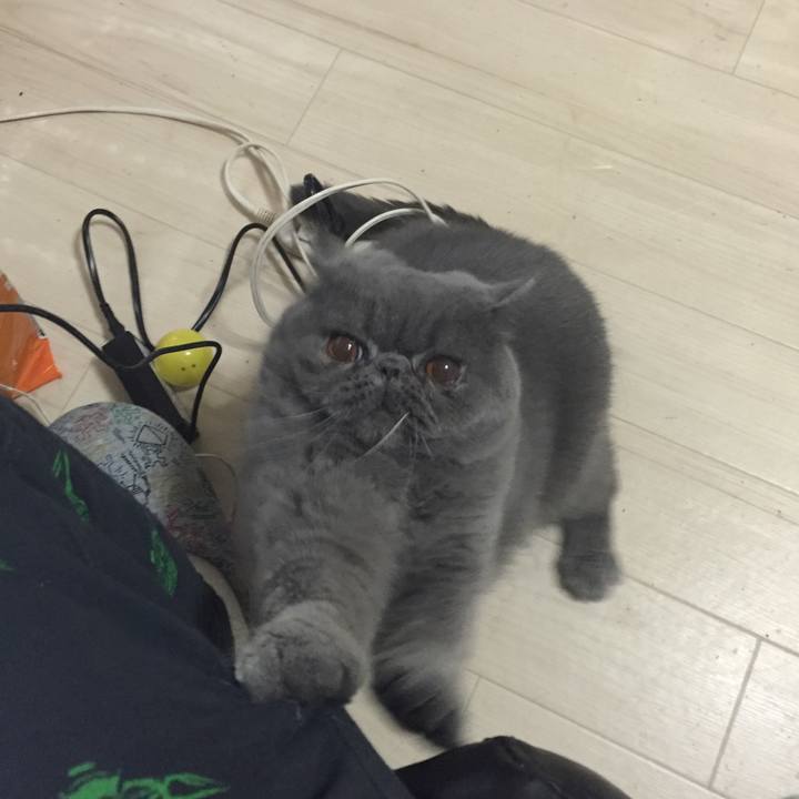 Caa8e85e 7a5d 419a a96a 20b513de89fa