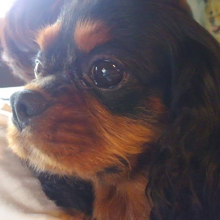 Caa9680f 6a03 4b1b 958e e960427c4fc8