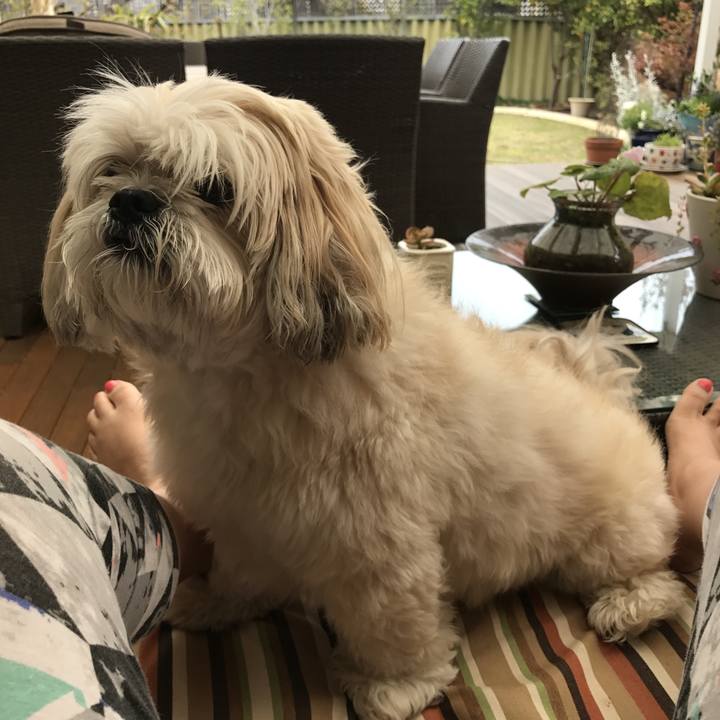 Caa99a93 c508 48b4 8cef fde1f9a5b819