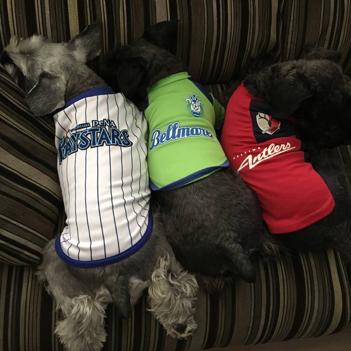 Caa9a604 b577 4309 85c0 3f9594dd7235