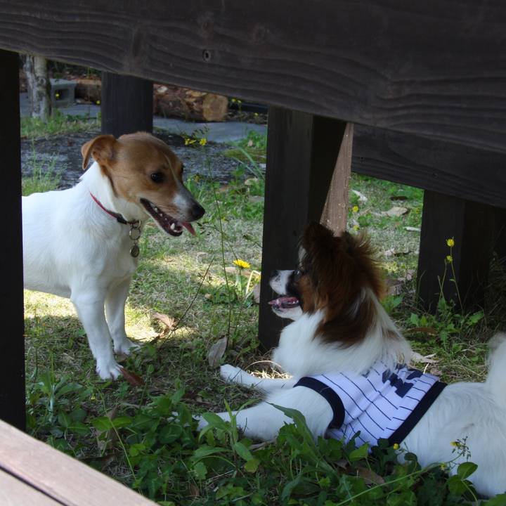 Caa9fa0e 26f1 413d 97eb 7395ea29ffaa