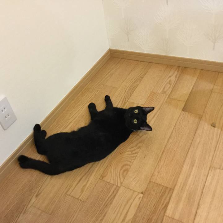 Caaa11cb 9b89 4055 a0db 2c201f5faa48