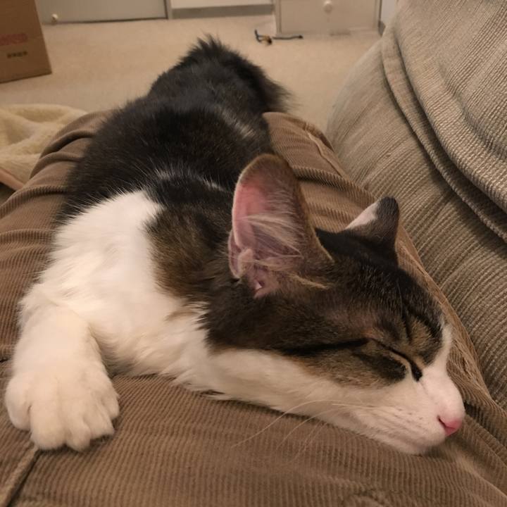 Caaaab3a bd14 4e50 a368 f060c21847b5