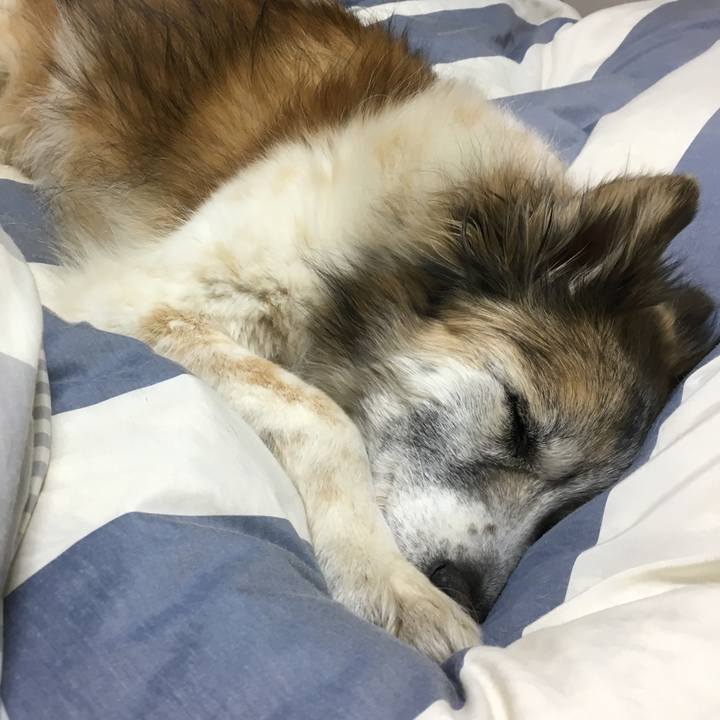 Caaadc8b fd75 4e7d 8465 b2927f53c491