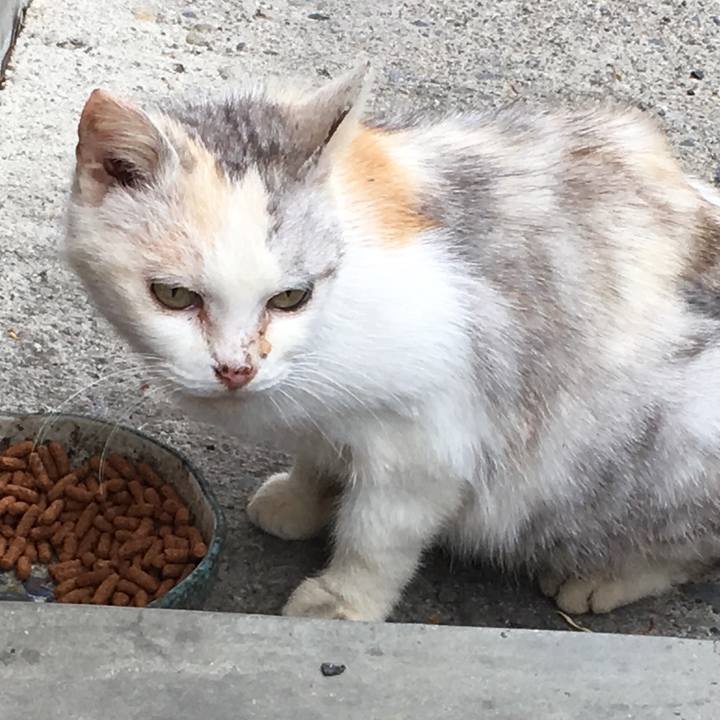 Caaba8ce 3039 4ca9 b1d3 76adbfd74844