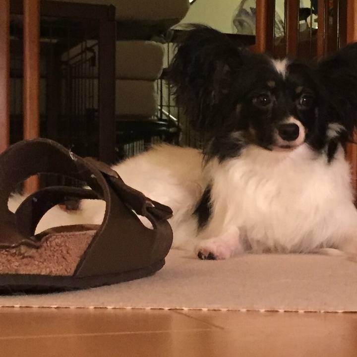 Caad38bf be1f 4221 ba4c 90710905d977