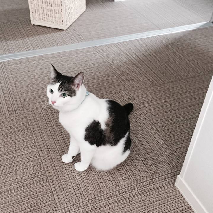 Caad5d1d 3ac2 4eed 9d89 14facffb75ae