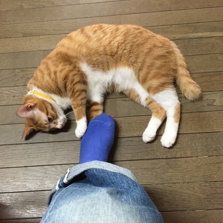 Caadb582 f212 49b9 b069 4ddc2ab9e99d