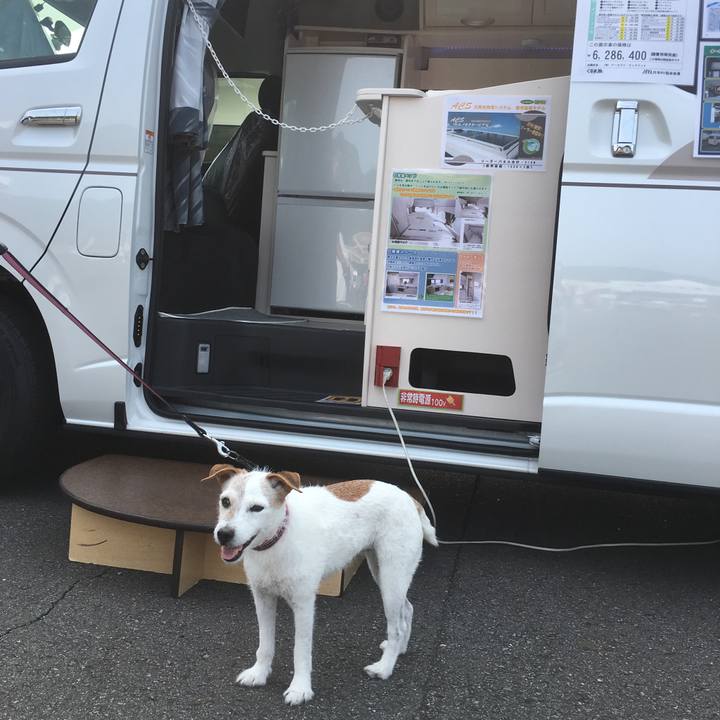 Caade1dc 75ec 4d61 b8c1 79402ac87993