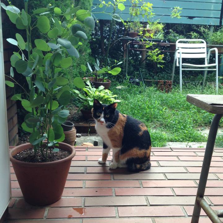 Caaf5403 3f45 4b2b 8fcc e7da8b904ad0