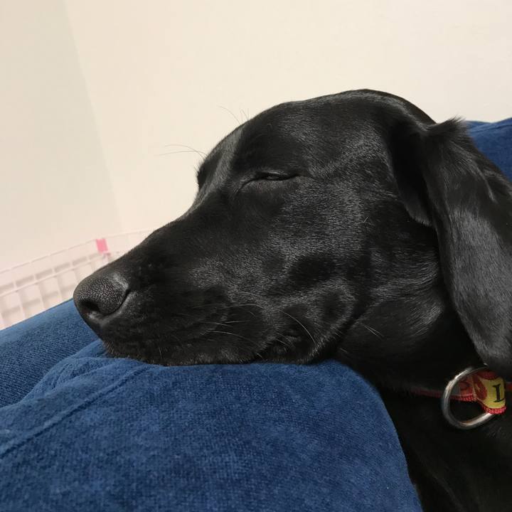 Cab0cae3 1b3e 41eb 9de2 05245a50002f