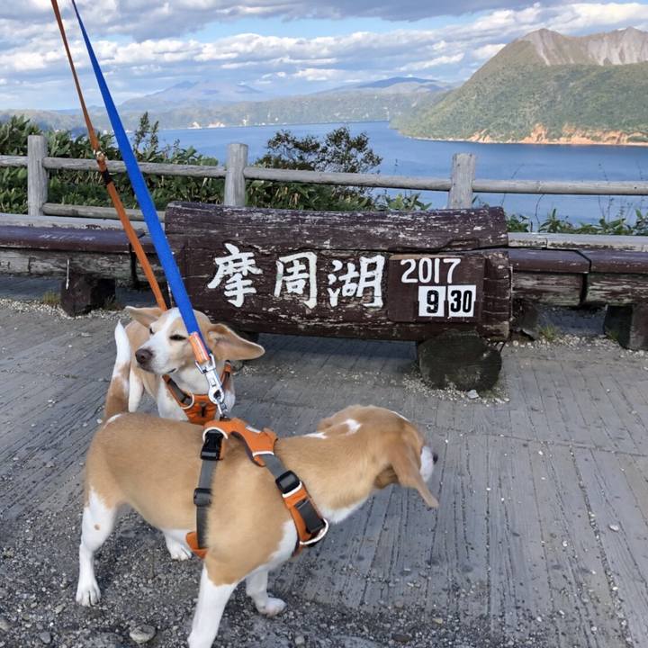 Cab178fb 3156 4d12 85f6 e2dee75e5707