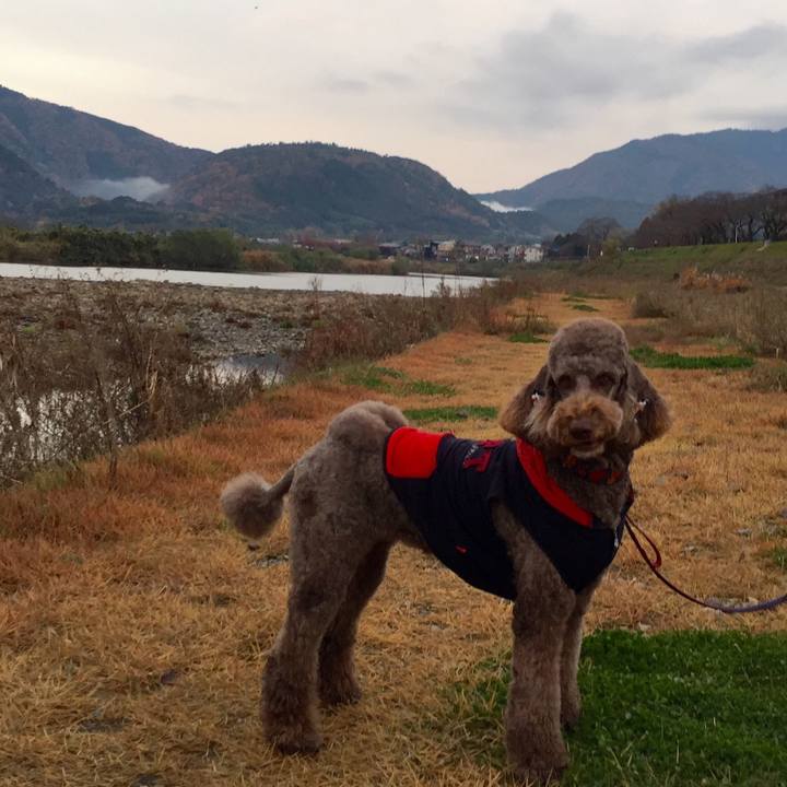 Cab17d1a 352a 4036 b402 d183e508e1b7