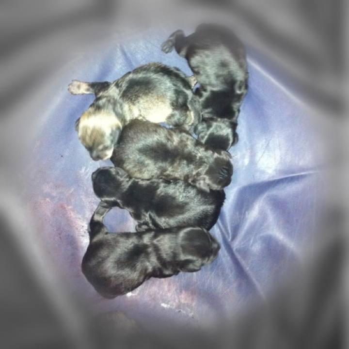 Cab2a97c 2ceb 4119 be19 e04cf284d58d