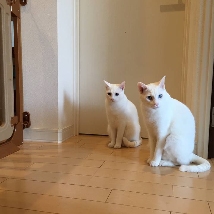 Cab45b5c 5823 4626 8682 d3370f8eca45